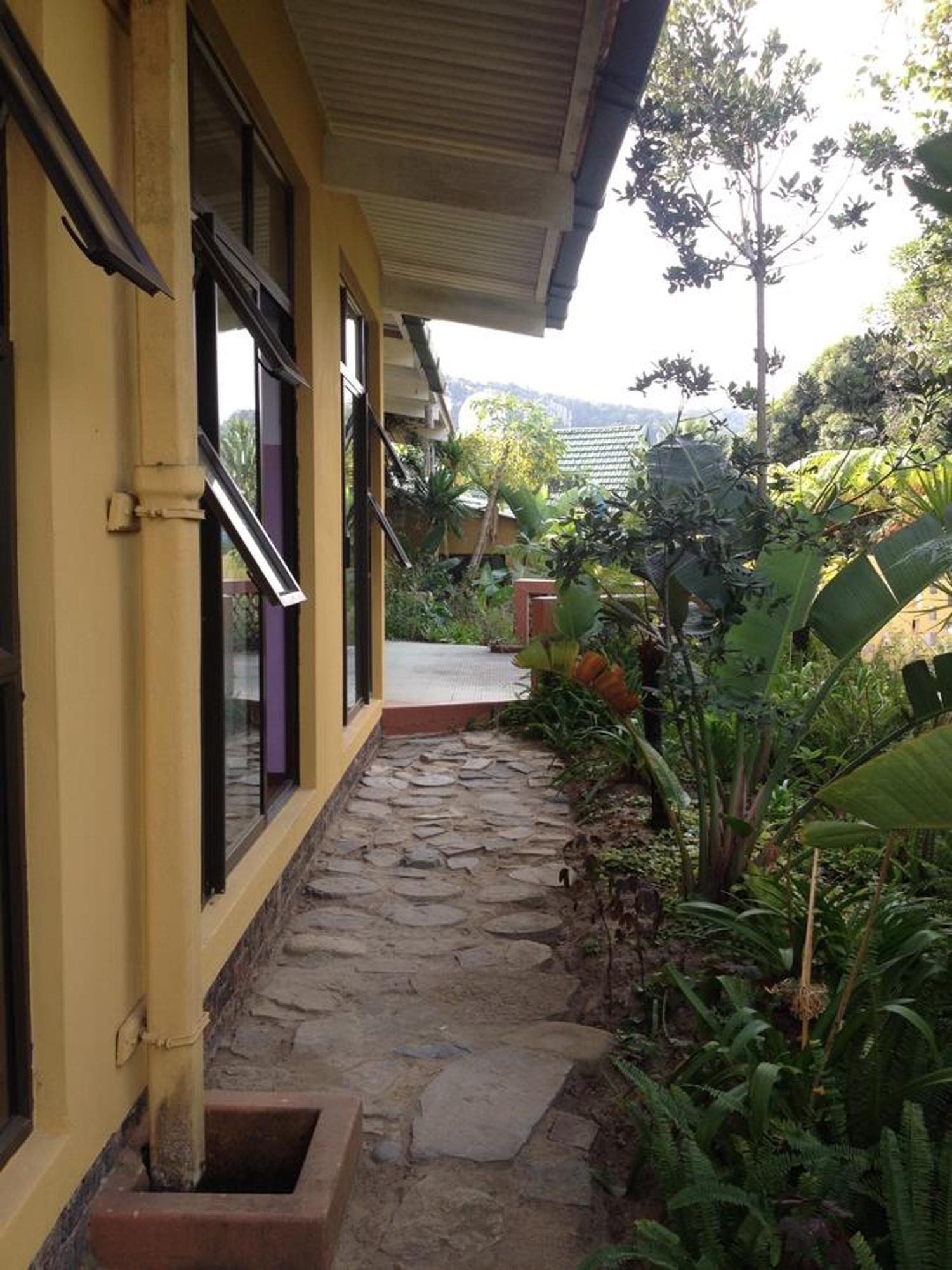 بيت شباب Jungle Monkey Backpackers Port Saint Johnʼs المظهر الخارجي الصورة