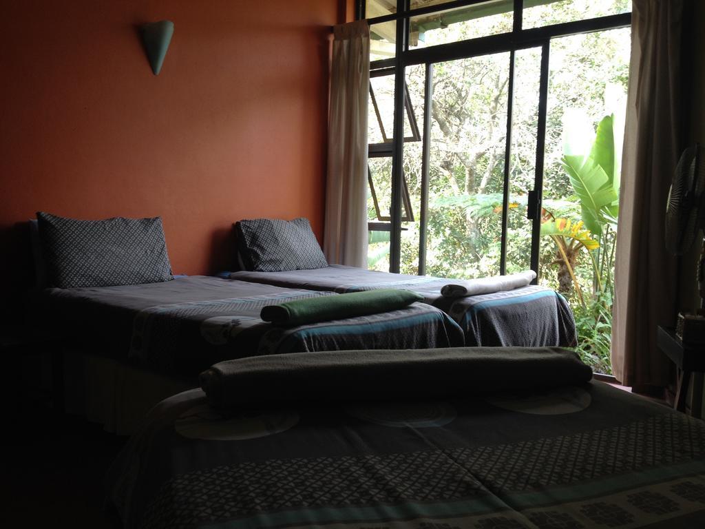 بيت شباب Jungle Monkey Backpackers Port Saint Johnʼs الغرفة الصورة