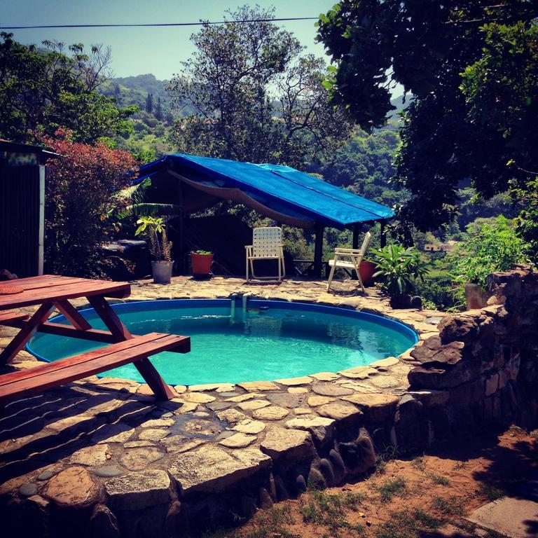 بيت شباب Jungle Monkey Backpackers Port Saint Johnʼs الغرفة الصورة