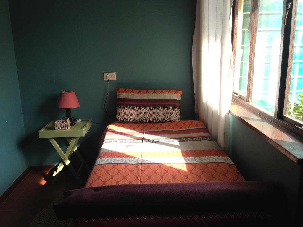 بيت شباب Jungle Monkey Backpackers Port Saint Johnʼs الغرفة الصورة