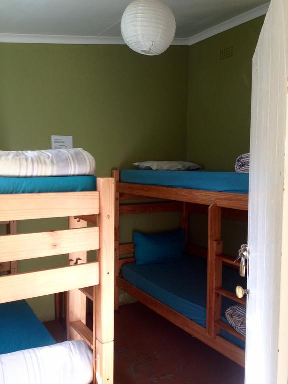 بيت شباب Jungle Monkey Backpackers Port Saint Johnʼs الغرفة الصورة