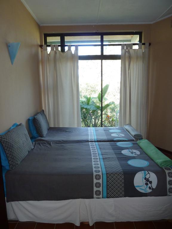 بيت شباب Jungle Monkey Backpackers Port Saint Johnʼs الغرفة الصورة