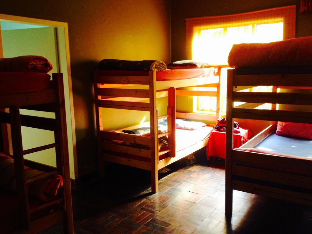 بيت شباب Jungle Monkey Backpackers Port Saint Johnʼs الغرفة الصورة
