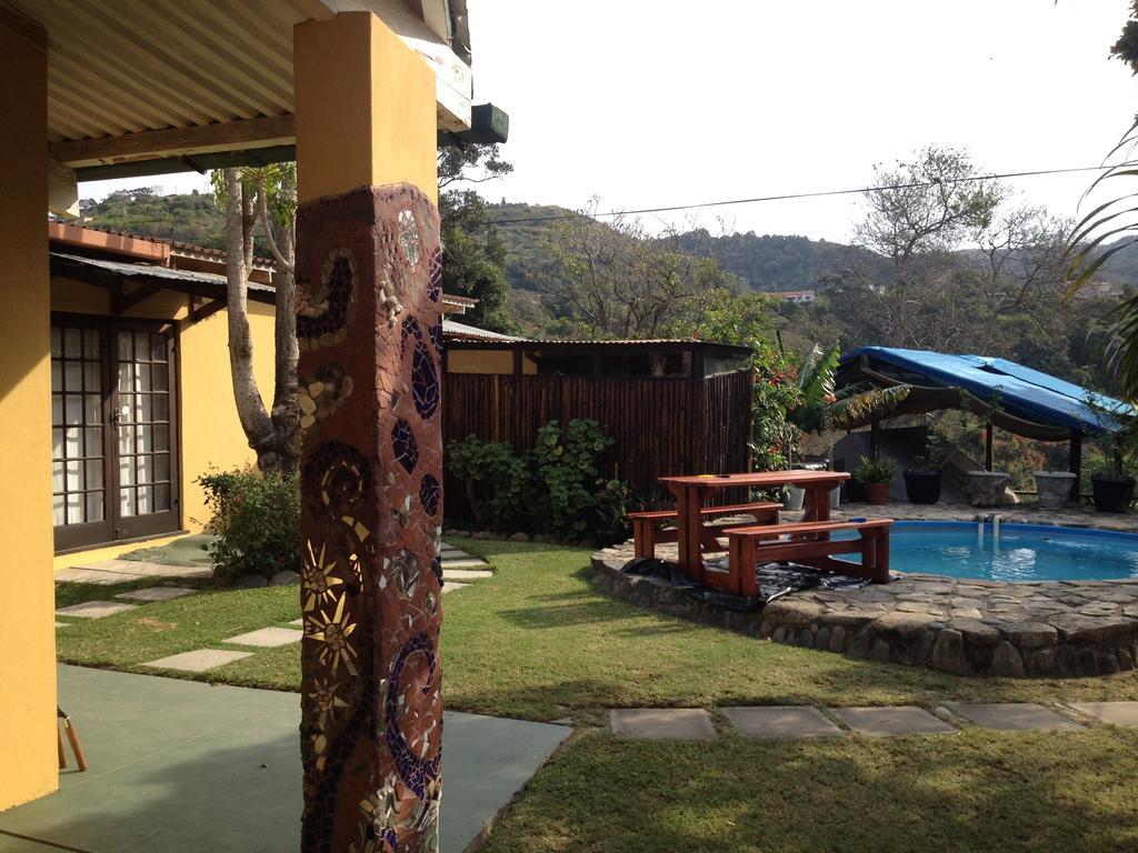 بيت شباب Jungle Monkey Backpackers Port Saint Johnʼs الغرفة الصورة