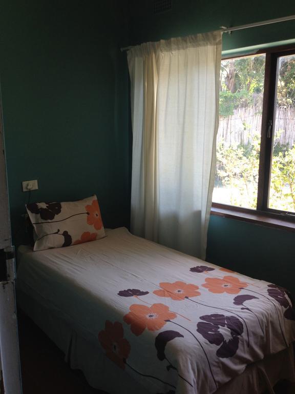 بيت شباب Jungle Monkey Backpackers Port Saint Johnʼs الغرفة الصورة