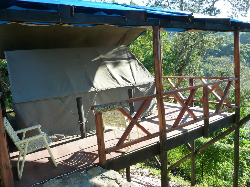 بيت شباب Jungle Monkey Backpackers Port Saint Johnʼs الغرفة الصورة
