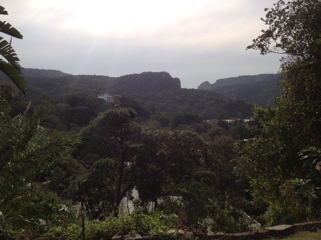 بيت شباب Jungle Monkey Backpackers Port Saint Johnʼs الغرفة الصورة
