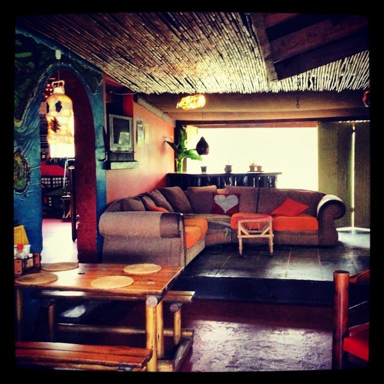 بيت شباب Jungle Monkey Backpackers Port Saint Johnʼs المظهر الخارجي الصورة