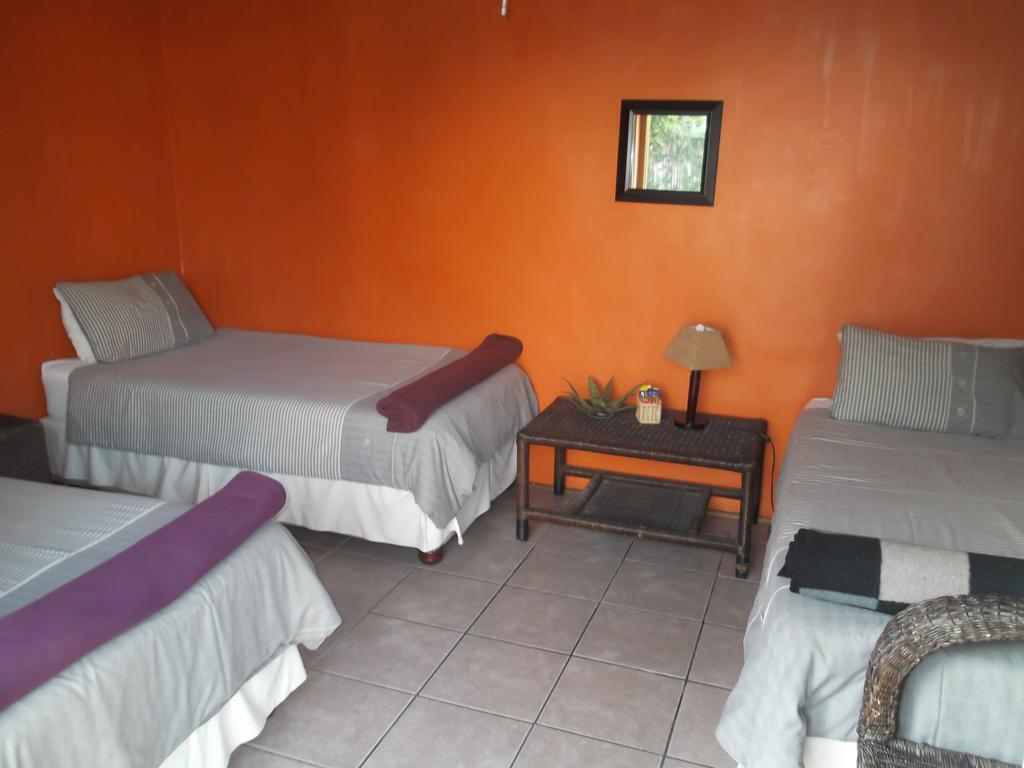 بيت شباب Jungle Monkey Backpackers Port Saint Johnʼs المظهر الخارجي الصورة