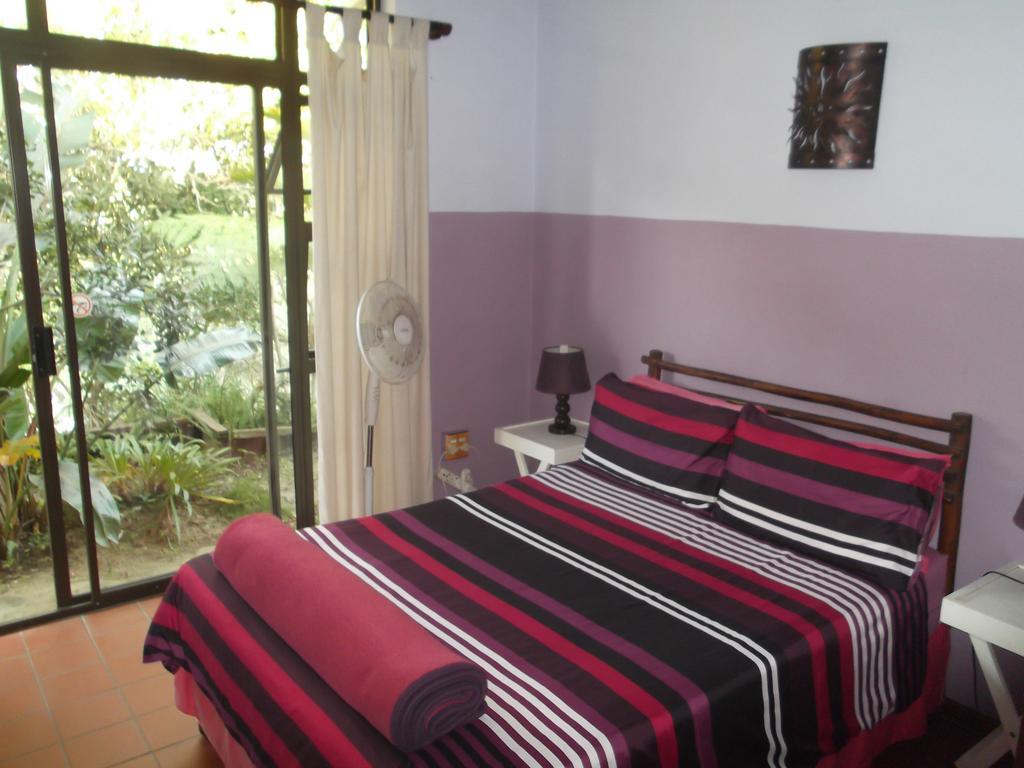 بيت شباب Jungle Monkey Backpackers Port Saint Johnʼs المظهر الخارجي الصورة