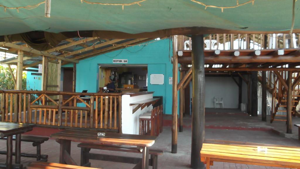 بيت شباب Jungle Monkey Backpackers Port Saint Johnʼs المظهر الخارجي الصورة